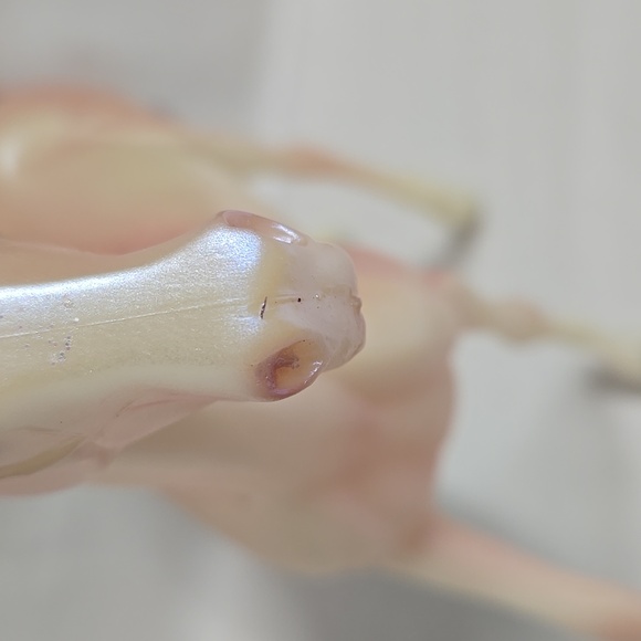 Breyer Reeves Unicorn Rainbow Glitter Mane Tail Pink BEAUTIFUL SHINY - Picture 8 of 16